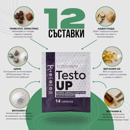 TestoUP 7-ДНЕВЕН ПАКЕТ